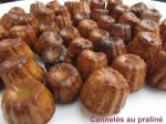sucre466