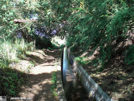 9010_Levada