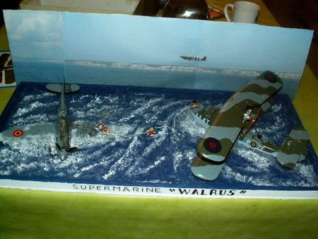 maquette SUPERMARINE WALRUS (14)