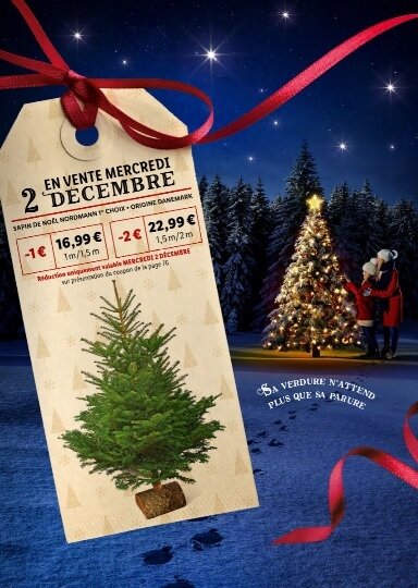 sapin_lidl_2020