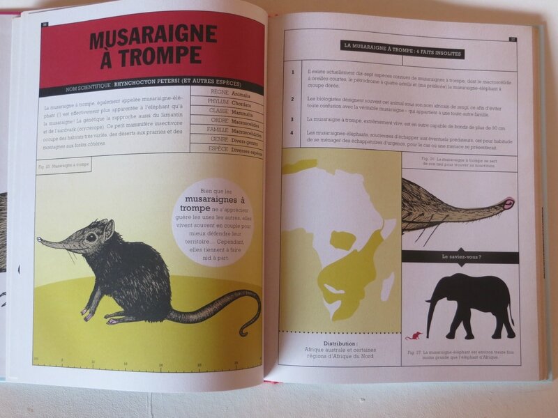 Animaux insolites