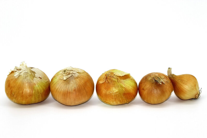 onion-4249422_1920
