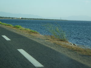P1020618