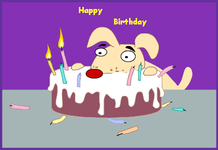 birthday_dog