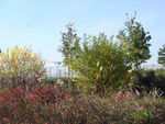 DSC01023