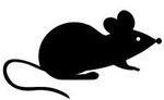 une_souris_verte_g_1301