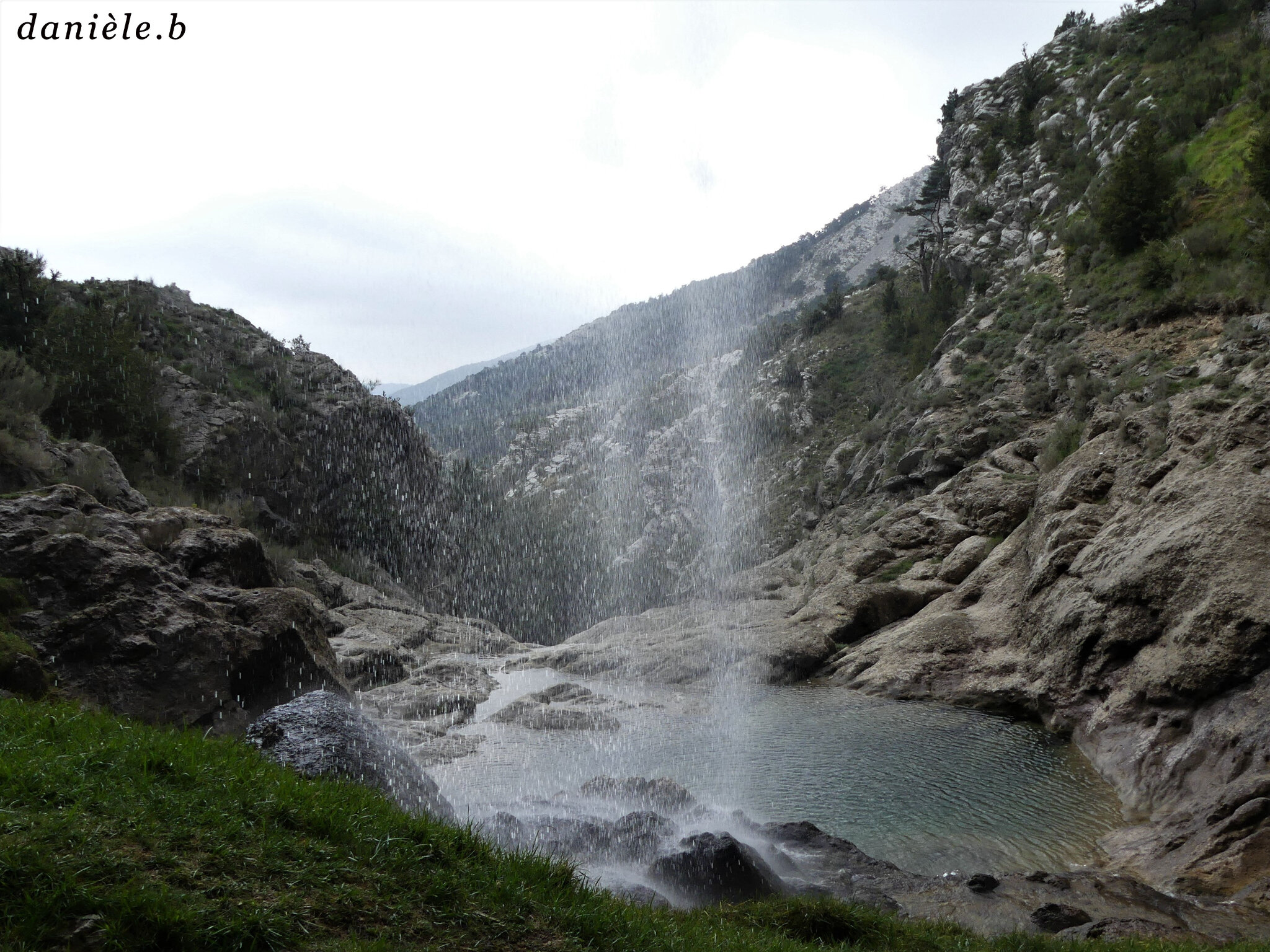 P1000794 (2)