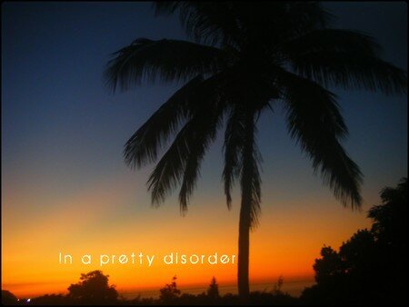 In_a_pretty_disorder_21