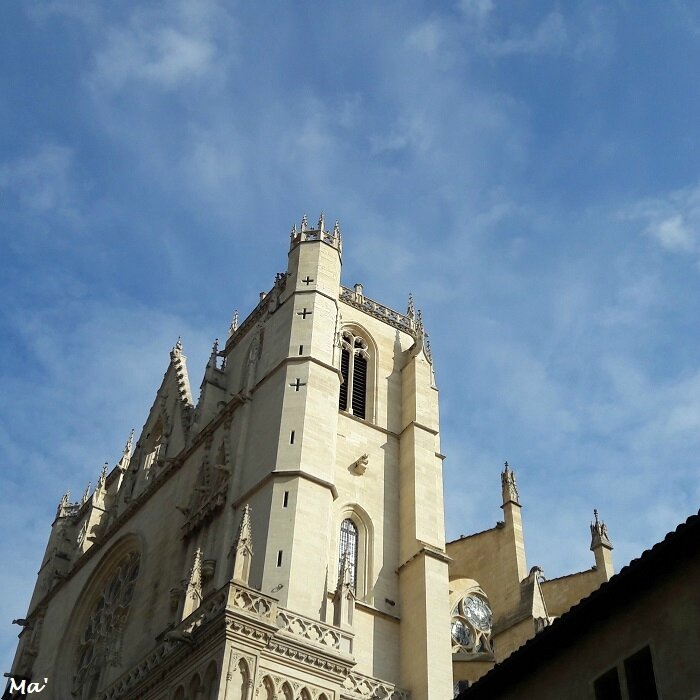 170217_Lyon_1