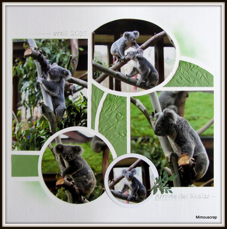 Pairi Daiza 2015 036