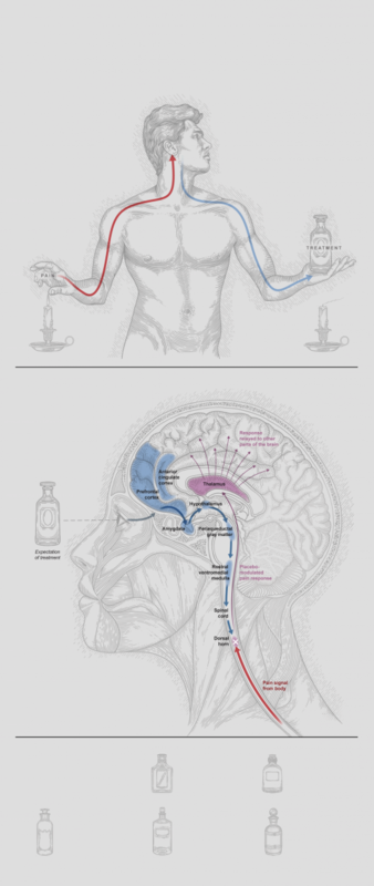 ScienceOfBelief_Web-Artboard_3