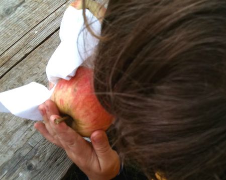 jus de pomme11