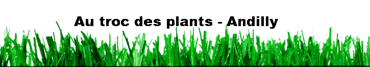 Au_troc_des_plants