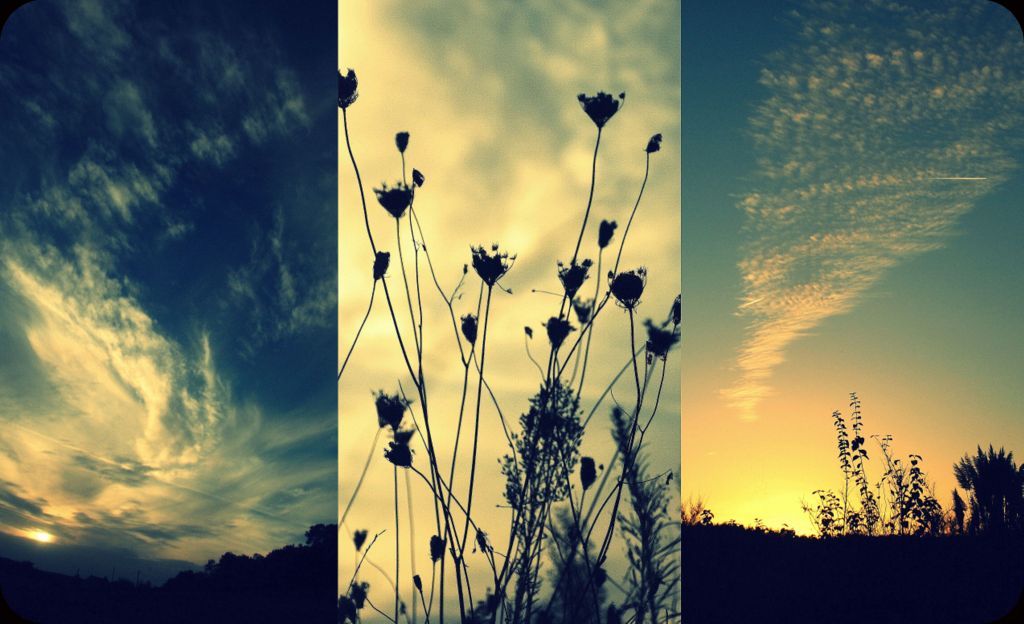 images21