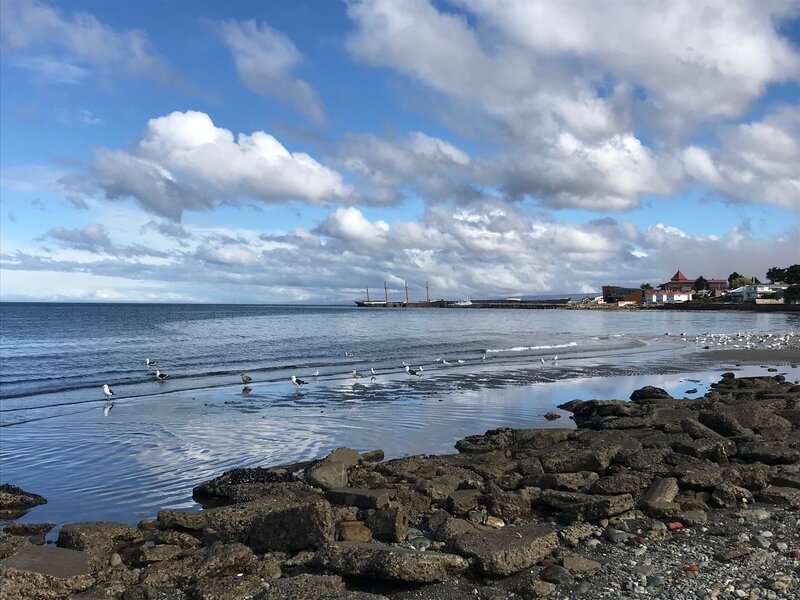 Punta Arenas détroit de Magellan