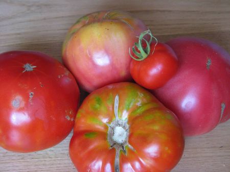tomateblog