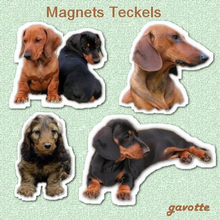 preview_magnets_teckels