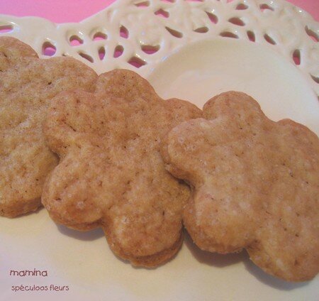 SPECULOOS_FLEURS_30