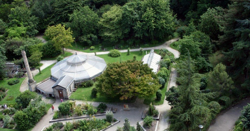 le-jardin-botanique-de-l-uds-universite-de-strasbo-23405-1200-630