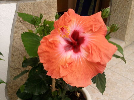 Photo0170