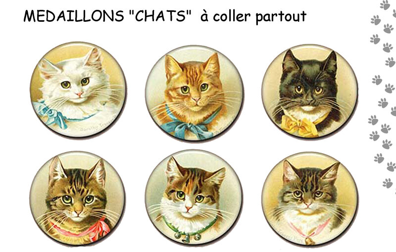 7_CHATS