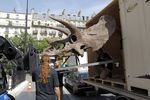 21641052_FRANCE_PALEONTOLOGY_DINOSAUR_EXHIBITION_AUCTION_FRANCE_PALEONTOLOGY_DINOSAUR_EXHIBITION_AUCTION