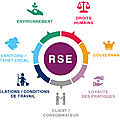 À quoi sert la <b>RSE</b>, la responsabilité sociétale des entreprises, cette démarche environnementale et sociale volontaire dont tous