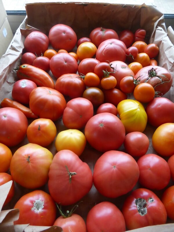 26-tomates (2)