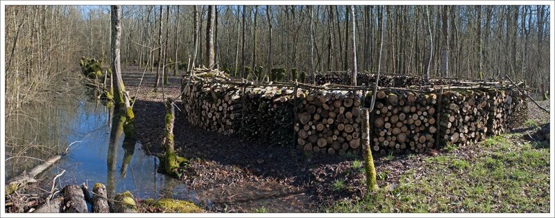 Marais Naillers bois fer à cheval pano 2 220215