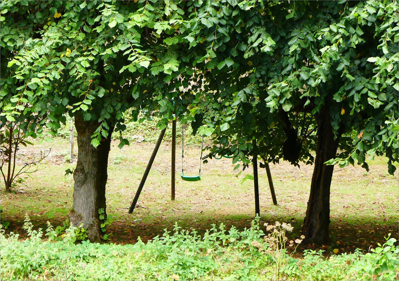 Balançoire arbres vert 210822