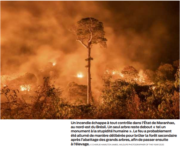 2020 10 04 SO Incendie Brésil