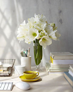 bd106697_0111_desk133_xl