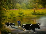 vaches___Nohan