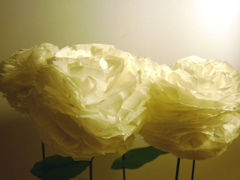 Impression de fleurs