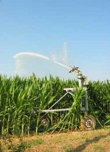 Irrigation_ma_s_marais_poitevin