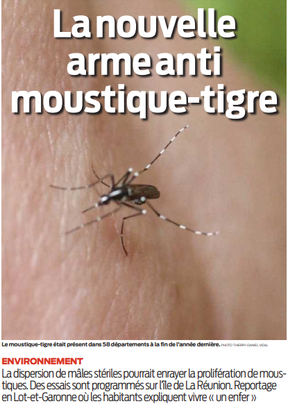 2020 09 23 SO La nouvelle arme anti moustique tigre