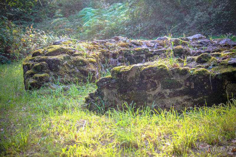 Les Moulins du mont des alouettes, un des symboles de la Guerre de Vendée