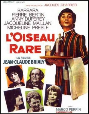 l_oiseau_rare