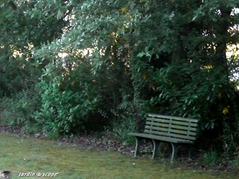 Jardin de l'hôtel** 