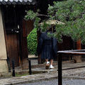 Les 24 temples du <b>Daitoku</b>-<b>ji</b> à Kyoto ... où il est question du Maître de Thé, Sen No Rikyû ...