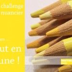 201102_challenge_nuancier_jaune_by_libelul_150x150