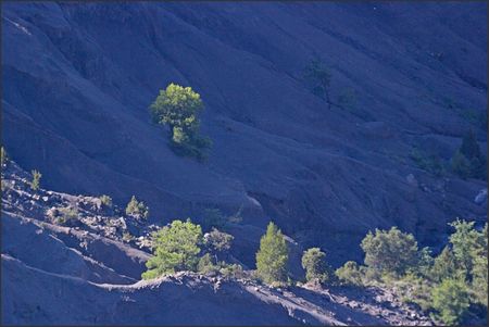 lulu_Aragon_paysage_arbres_fond_bleu_260611