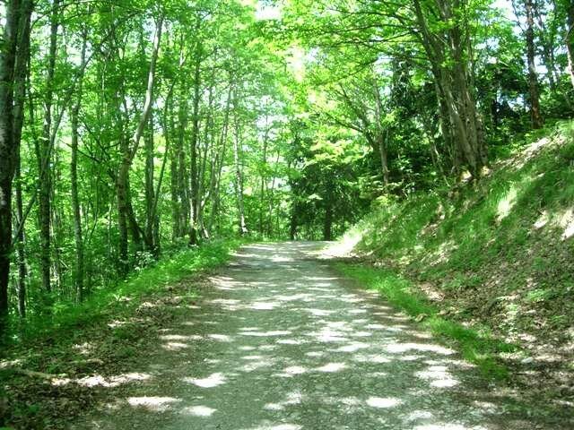 Chemin
