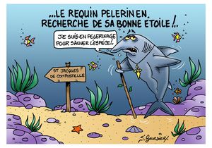 Carte requin pelerin COUL