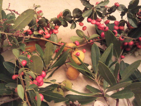 Photo0486