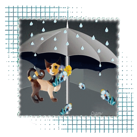 parapluie chat chat
