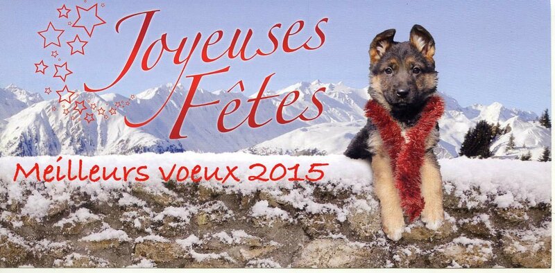 voeux an 2015