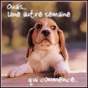 Bon_lundi_ouais_une_autre_semaine_qui_commence