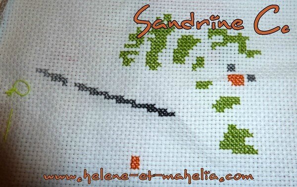 sandrine c_saljanv15_3