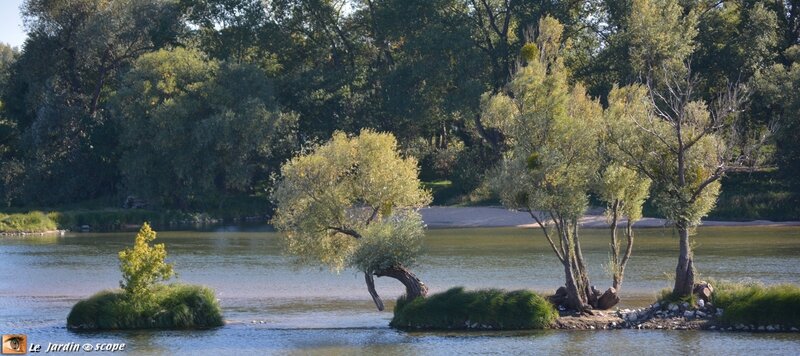 Reflet-de-Loire-en-automne